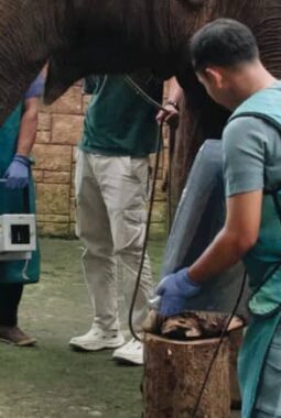 berita-rekomendasi-foto