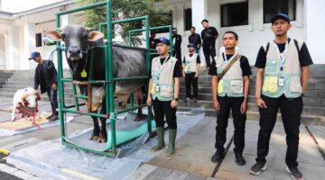 Jelang Iduladha 2026  Pemeriksaan Hewan Kurban di Kota Bandung Diperketat